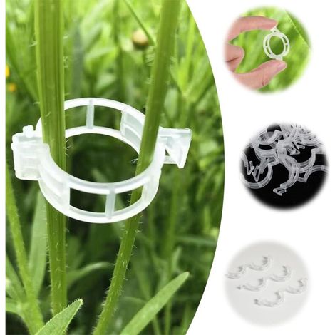 Pack of 100 climbing plant clips, transparent supports for indoor plants, reusable garden clips, plastic plant support clips, plant accessories for (1/5)