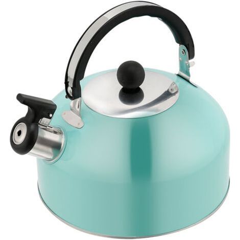 Whistling Tea Kettle Flat Bottom Stainless Steel Teapot for Induction Cooker 3L Large Capacity (1/5)