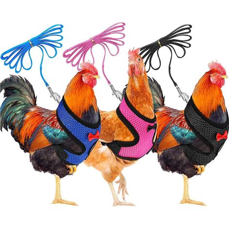 lot De 3,taille M Harnais Pour Poule Avec Laisse Rglable Et Respirant Pour Animal Domestique De Compagnie ,harnais De Poule Pour Canard, Oie, Poul (1/5)