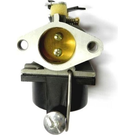 Carburateur pour moteur Tecumseh OHV/OV – Pièce de rechange compatible et performante (1/3)