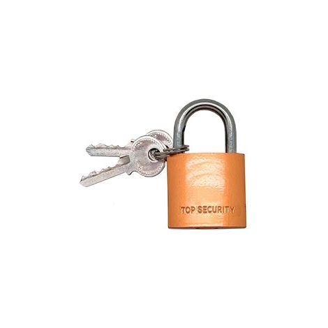 Lucchetto ad arco "Basic CN17" da 20 mm con arco spesso Ø3 mm in ottone (include 2 chiavi) (1/4)