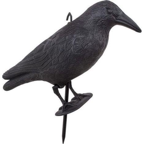 Black Crow, Plastic Pigeon Repellent, Sitting Crow 1X Crow - Bird Repellent & Balcony Decoration, Natural Pest Control Repellent Protection, Bird Scarer, Scarecrow (1/5)