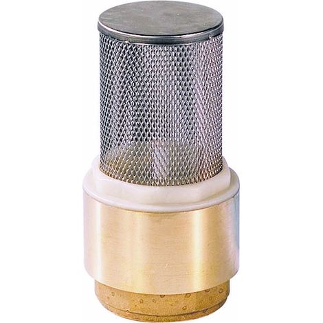 Clapet anti-retour avec crépine inox - Femelle/Femelle - Série 310 20x27 (1/4)