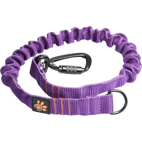 Amortisseur JoQu® Strong pour grands chiens, violet