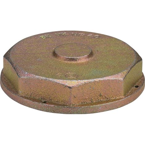 VIEGA 532239 Bouchon G2361