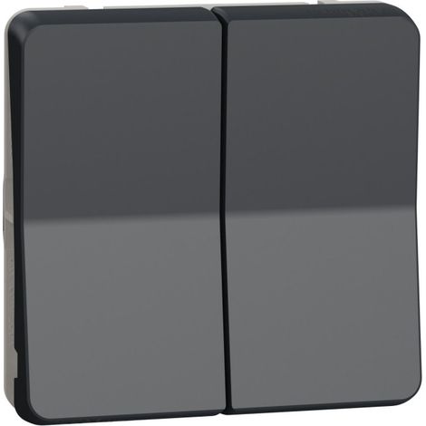 Schneider Electric – MUR35019 – Double interrupteur étanche composable – IP55 – Pour montage saillie ou encastré – Résistant à l'eau et aux produits chimiques