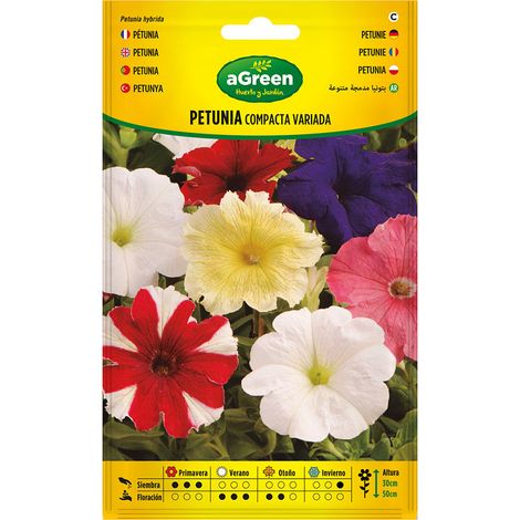à Propos De La Variété Graines De Pétunia Compactes 300678bolsh Daccord - Agreen (1/2)