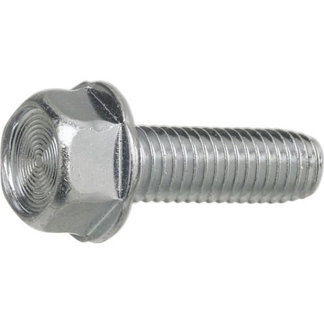 DIN7500DE (D) M 5x10 verzinkt gewindefurchende 6kt-Schraube mit Bund