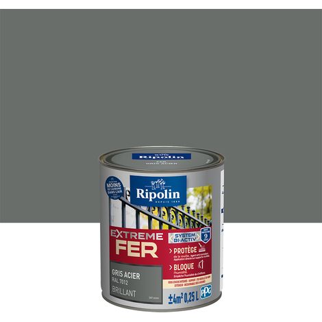 Peinture pour Fer Extérieur - Brillant - 0,25L - Gris Acier RAL 7012 - Ripolin (1/5)