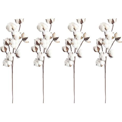 4 tiges de coton blanc naturel, 10 boutons-fleurs par tige, 53 cm, cueille-fleurs, style champêtre, décoration d'intérieur