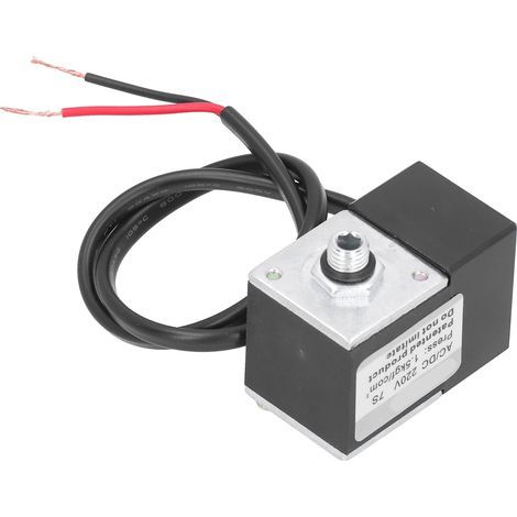 Accessoires pour compresseur d'air électrique en laiton avec électrovanne temporisée, pompe AC/DC 220 V (1/4)