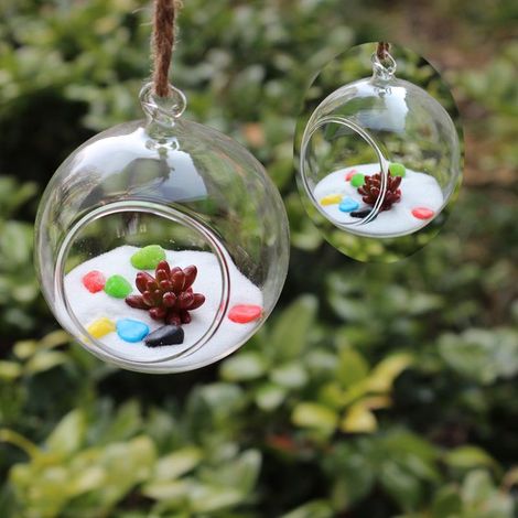 Suspendu Verre Globe Fleur Vase Bouteille Paysage Terrarium Conteneur 12cm (1/5)