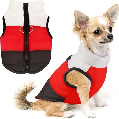 Dog and Cat Coat with Lead Anchor Colour Patchwork Padded for Puppies, Chihuahua, Costumes, Pug, XS, S, M, L (1/5)