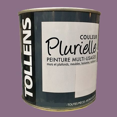 TOLLENS Peinture acrylique multi-usages 'Couleur Plurielle' mat Ravissante 0,5 L (1/2)