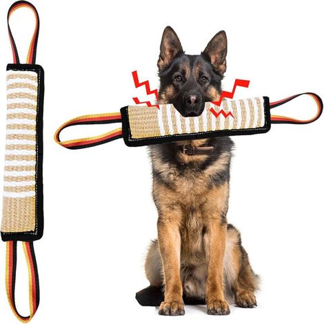 Bâtonnet à mâcher pour le dressage des chiens (1/4)