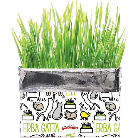 Erba gatta Katty per gatti confezione da 120 g