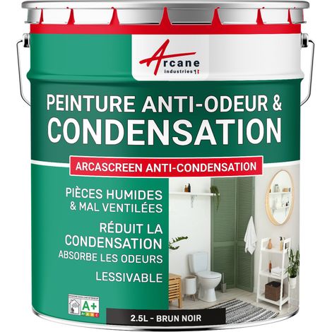 Peinture anti condensation, anti odeur, moisissure - 2.5 L Brun noir - RAL 8022 - ARCANE INDUSTRIES (1/5)