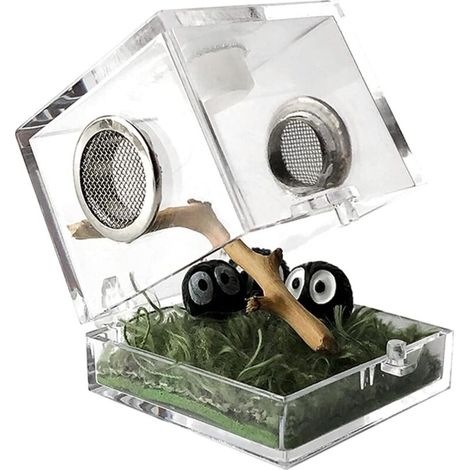 Boîte d'alimentation pour insectes, boîte d'élevage en acrylique transparent pour reptiles et araignées