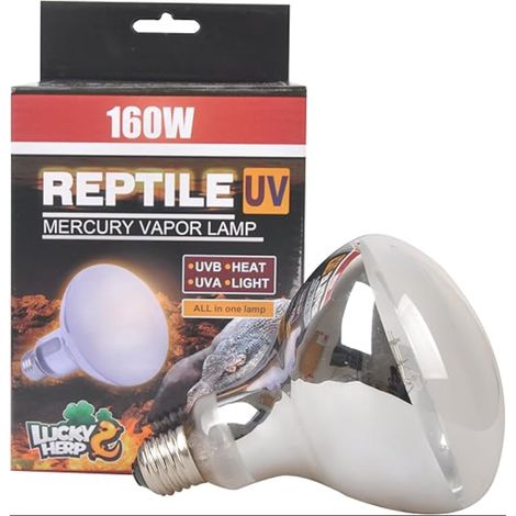 Ampoule à vapeur de mercure UVA UVB pour reptile, R115, 160 W, E27 (revêtue) (1/4)