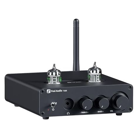 Amplificateur à tubes Bluetooth compatible avec tubes à vide de 5654 W, amplificateur de casque de bureau T20X, mini amplificateur de puissance 2.0 canaux pour enceintes de bibliothèque domestiques