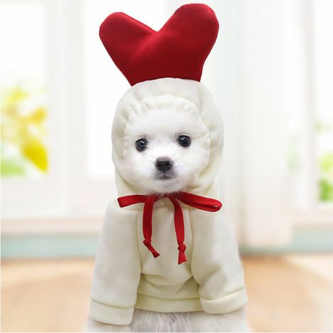 pulls molletonnés pour animaux de compagnie, pull à deux pattes d'hiver pour animaux de compagnie, vêtements mignons de chat s（2XL） (1/5)