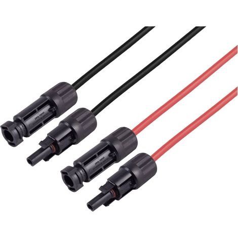 BKL Electronic 2800059 Câble rallonge 6 mm² Longueur de câble 10 m