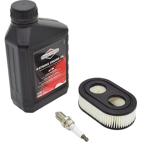 Kit d'entretien de filtre à huile et de bougie d'allumage pour tondeuse à gazon BRIGGS SAE30 550e (1/4)