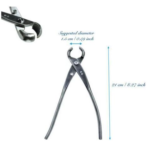 Sécateur Bonsaï Traditionnel – Lame Acier Inoxydable 210 mm, Bord Rond, Coupe Précise pour Droitiers (1/3)