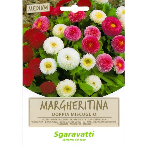 SEMI PER PRATO UNIVERSALE margheritine doppie in miscuglio Q.TA 20 margheritine doppie in miscuglio