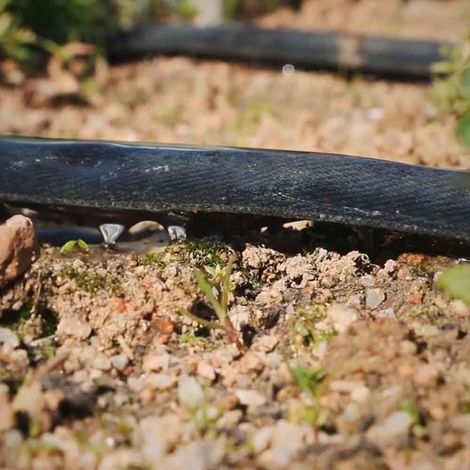 Riegopro Ruban textile extensible Poritex pour irrigation par goutte à goutte 16 mm. Tube poreux de 50 mètres. Arrosez par pores de son mur (50 mètres) (1/4)