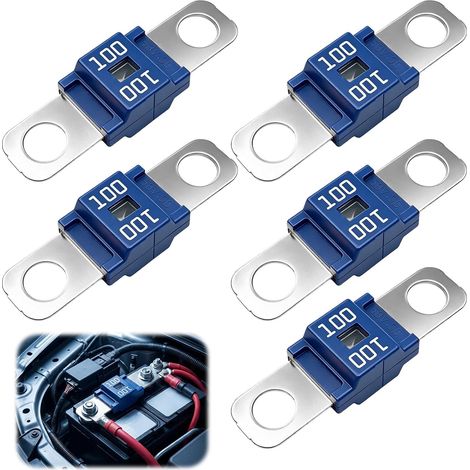 5 Pièces MIDI Fusible 60A à Courant Elévé Bolt on Mini (1/5)