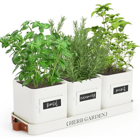 Jardinière d'intérieur avec Plateau, Pots de Fleurs d'intérieur de Ferme, Rebord de fenêtre, Jardin d'herbes aromatiques avec Drainage (Pot de Fleurs Uniquement) pour intérieur/extérieur (1/5)