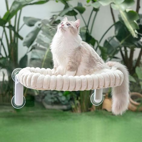 Hammock Cat Window Basket Perch Hanging Foldable Stand Shelf Cosleeping Bed for Small and Large Cats Reversible Mat 54 x 30 cm (White, M) (1/3)