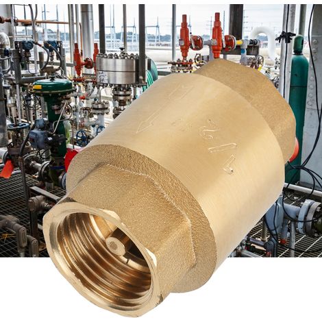 Präzisions-Rückschlagventil aus Messing mit Gewinde für Wasser, Gas und Öl (G1/2") (1/5)