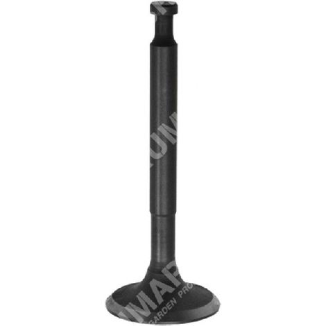 Einlassventil für DUCAR-Motorpumpen - 038568
