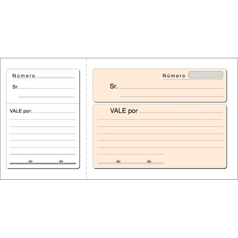 TALONARIO VALES LOAN