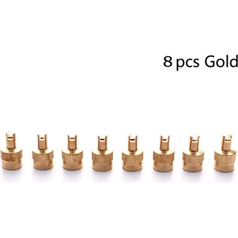 (GD) 8 bouchons de valve à tête fendue pour pneus de voiture (16 x 8,5 mm) avec outil d'extraction d'obus, compatibles avec voitures et motos. (1/5)