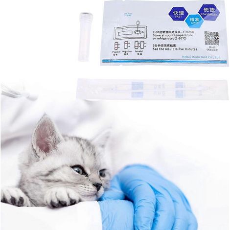 Kit de test complet pour le diagnostic vétérinaire du parvovirus canin chez les animaux de compagnie (1/4)