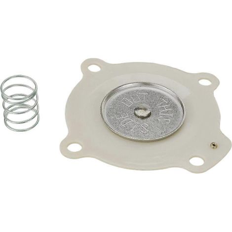 Kit de réparation de diaphragme compatible avec C113443, C113444, ressorts de diaphragme de 3 ou 4 pouces et ressorts de diaphragme de 1 pouce (C113443). (1/5)