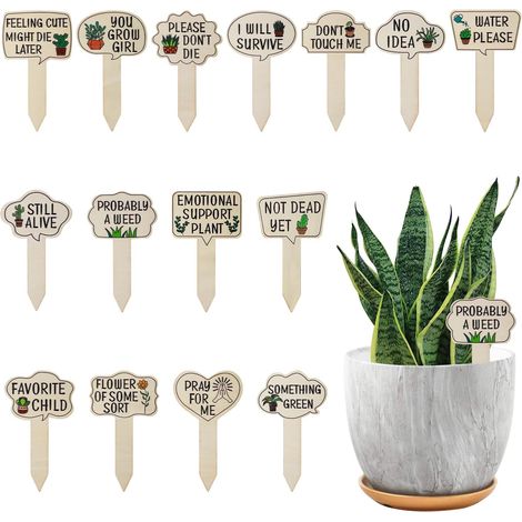 15 étiquettes pour plantes en bois, avec bâtonnets, mots amusants et motifs mignons, pour le jardin. (1/5)