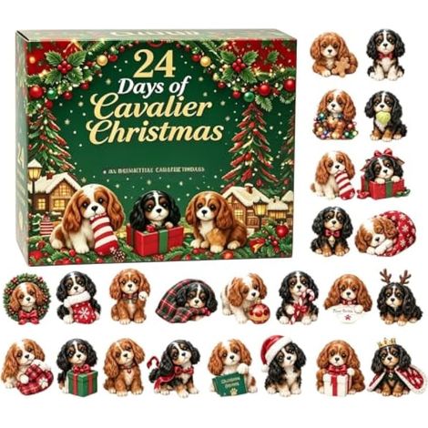 Calendrier de l'Avent de Noël 2D 24 jours chien drôle et mignon (1/5)