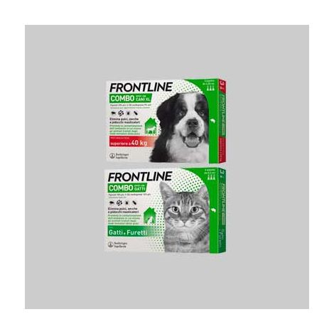 Antiparassitario combo frontline cani 2/10 kg - 1 pipette