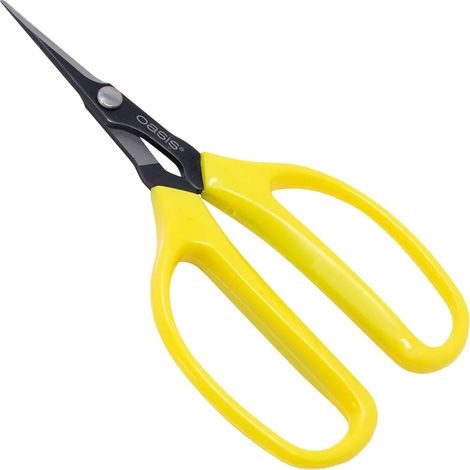 Ciseaux et pince à bonsaï professionnels Oasis 15,5 cm – Soins précis des bonsaïs, acier au carbone, poignée ergonomique (1/4)