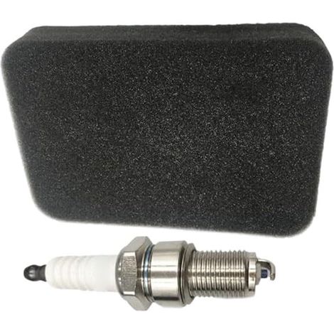 Remplacement 17210-ZE1-822 Compatible pour honda 5.5HP Remplacement Compatible WGen9500DFc, filtration pour mousse dense, bougie incluse, installation rapide, 2 pièces (1/5)