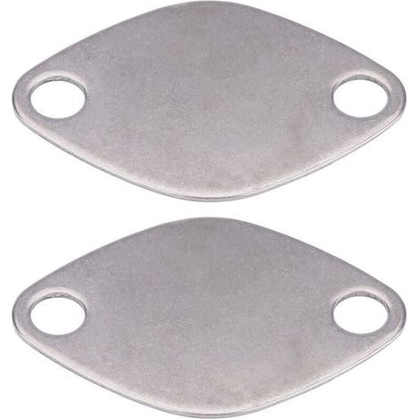 Kit de Plaque de Blocage de Valve EGR pour ESPACE LAGUNA MASTER TRAFIC VAUXHALL MOVANO (1/5)