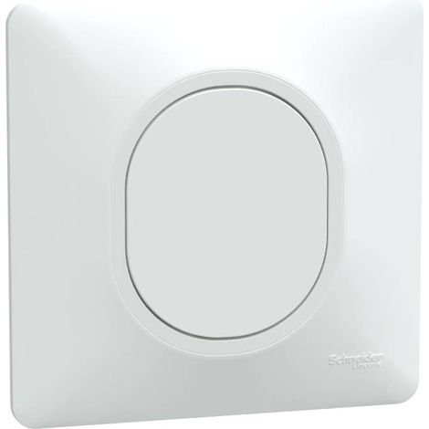 Schneider Electric – Obturateur complet S321666 – Blanc – Griffes montées – Plaque de finition pour rénovation – Pour espaces confinés