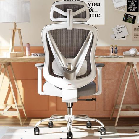 Ergonomischer Bürostuhl 3D Lendenstütze 3D Armlehnen V-Rücken-Design (1/5)