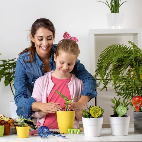 Lot De 2 Boîtes De Rangement Transparentes (Vides) - 28 Compartiments