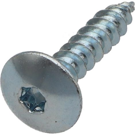 Vis Penture 6X20 Filetage total TORX T30 Acier zingué-1 pièce