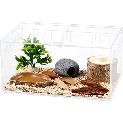 Terrarium pour escargots - 30 x 20 x 15 cm - 1 pièce - Boîte d'élevage en acrylique transparent - Système de fermeture sécurisé pour reptiles et insectes - Idéal pour l'observation et le nourrissage (1/5)